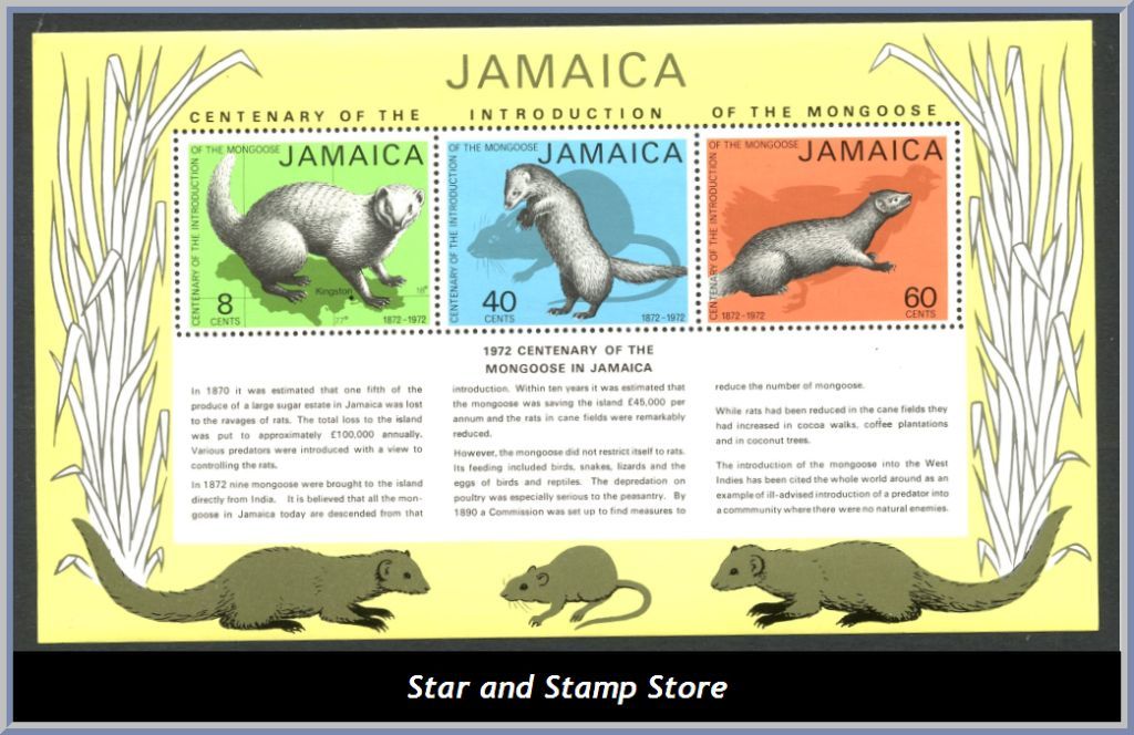 Jamaica | Mi Block 4
