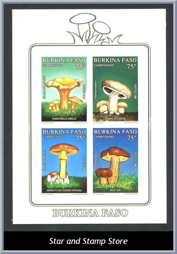 Burkina Faso | Mi Block 134