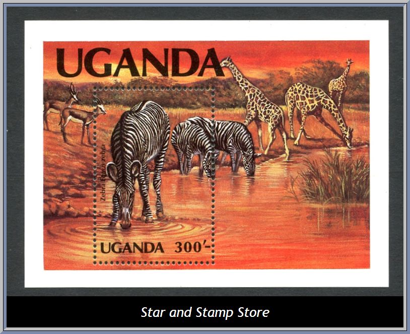 Uganda | Mi Block 41