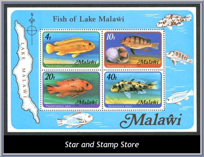 Malawi | Mi Block 49 X