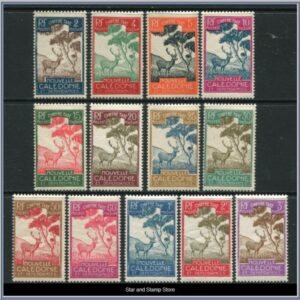 Nouvelle Caledonie  |  Mi Porto 19-31