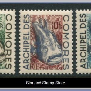 Comorerna  |  Mi Porto 3-5