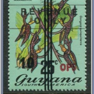 Guyana  |  Mi Tjänste 12