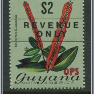 Guyana  |  Mi Tjänste 31