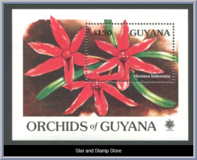 Guyana | Mi Block 111