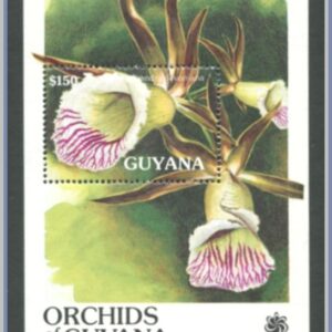 Guyana | Mi Block 112