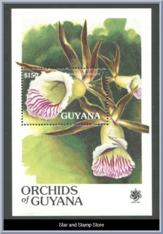 Guyana | Mi Block 112