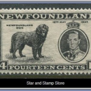 Newfoundland | SG 262